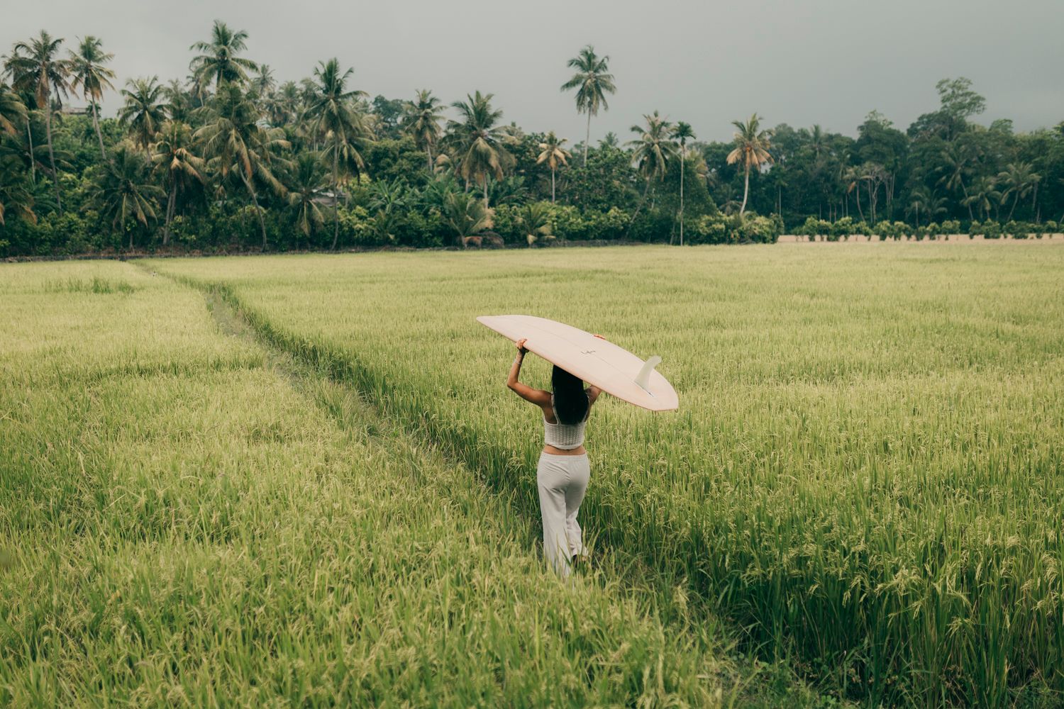 Woman holding white umbrella walking through lush green rice fields with tropical palm trees in background.
