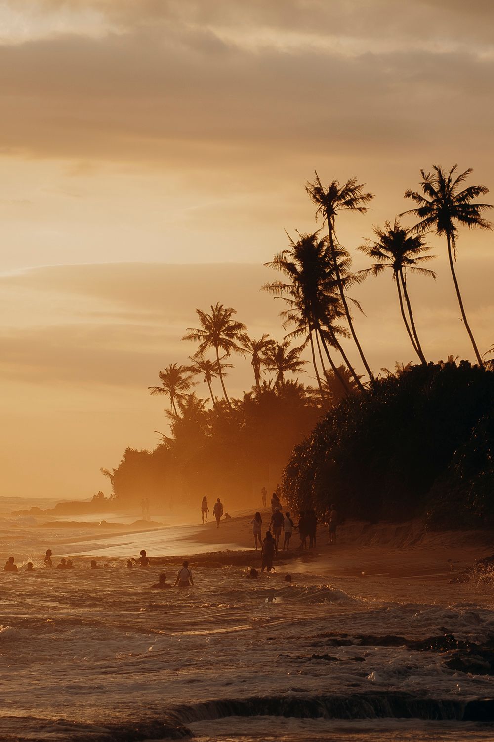 Silhouettes of people on a tropical beach at golden sunset with tall palm trees and misty waves.