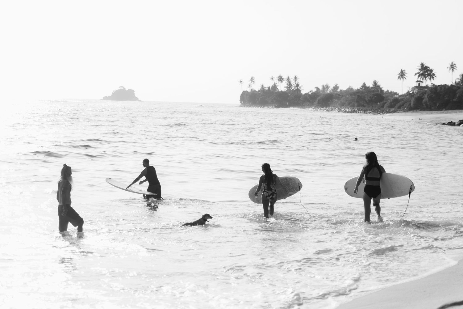 Black and white panorama of surfers walking along a misty beach shoreline.