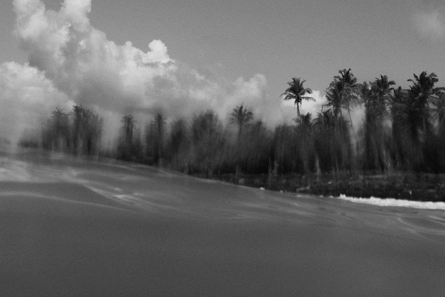 A black and white seascape with palm trees and crashing waves along the shore.