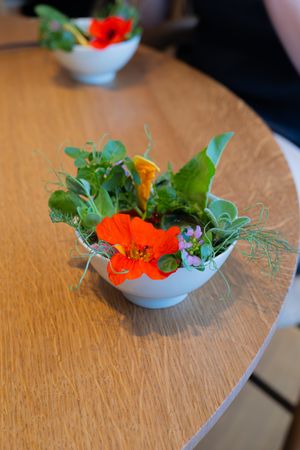 Orange nasturtium flower with green leaves arranged in white ceramic bowl on wooden surface.