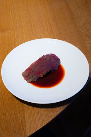Elegantly plated meat dish with red sauce on white ceramic plate.