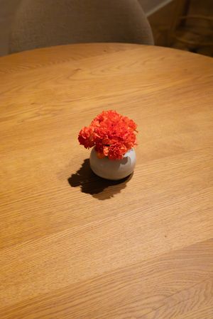Red carnation flower arrangement in small vase on wooden table with dramatic lighting.