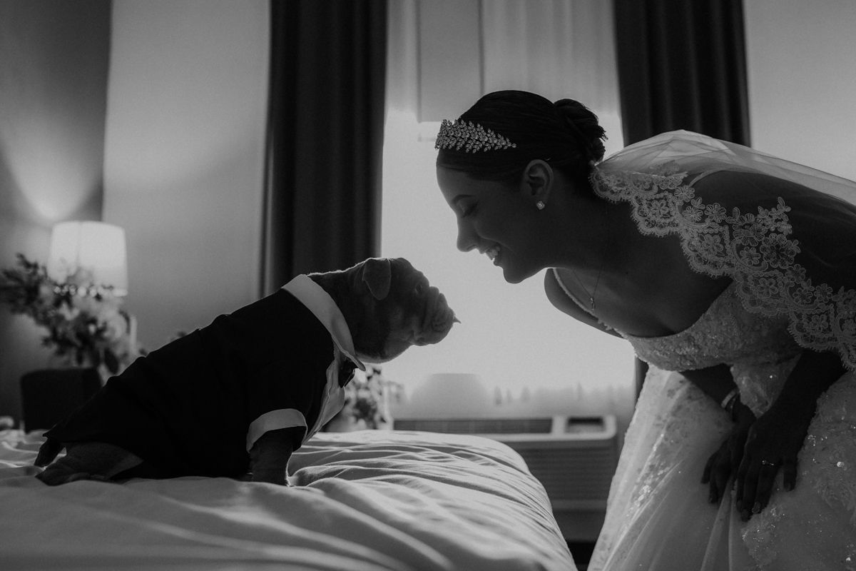 Black and white photo of a bride in lace dress sharing a tender moment with a dog on a bed.