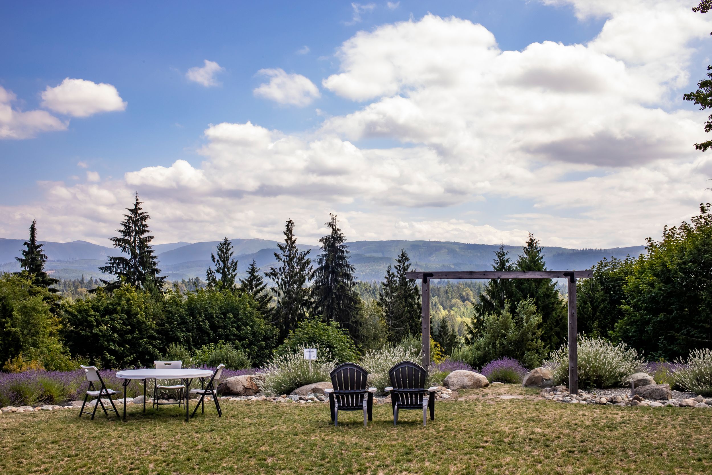 Two Adirondack chairs overlooking a mountain vista with evergreen trees and puffy clouds.