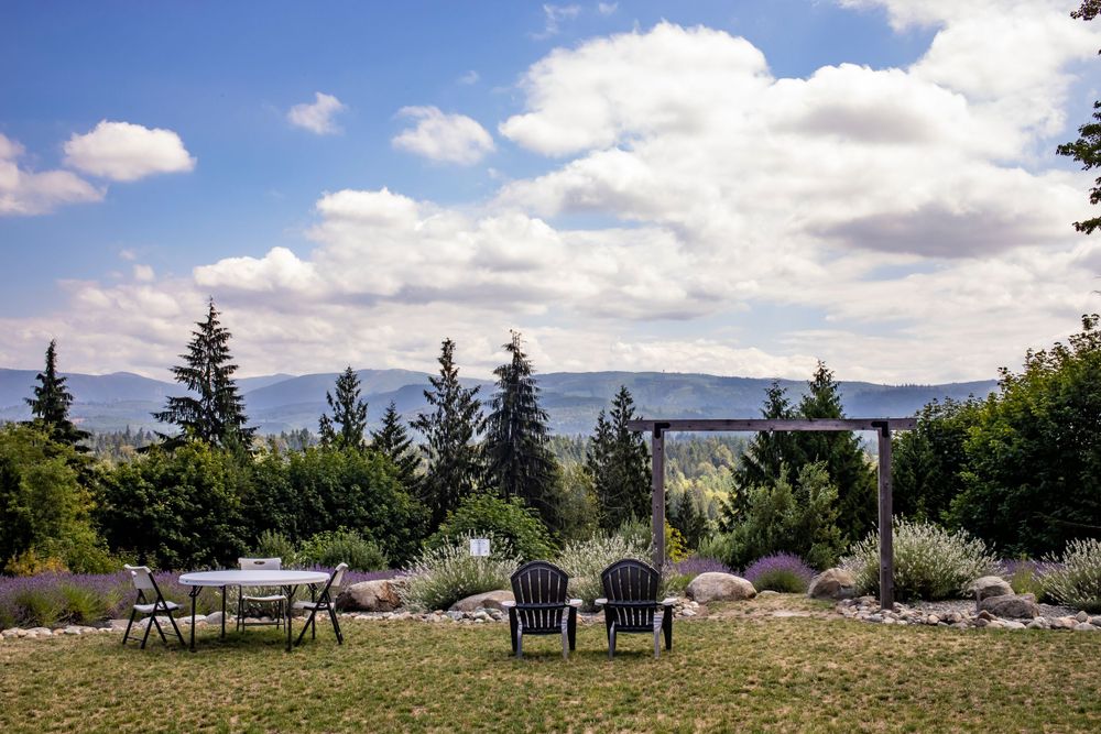 Two Adirondack chairs overlooking a mountain vista with evergreen trees and puffy clouds.