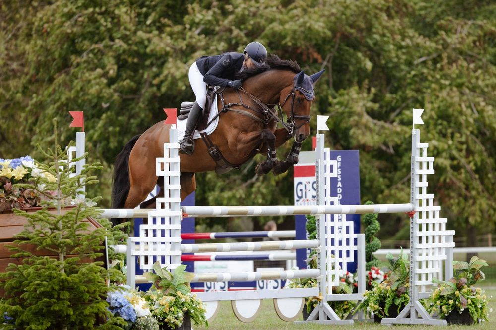 A professional photo of a horse competing in showjumping