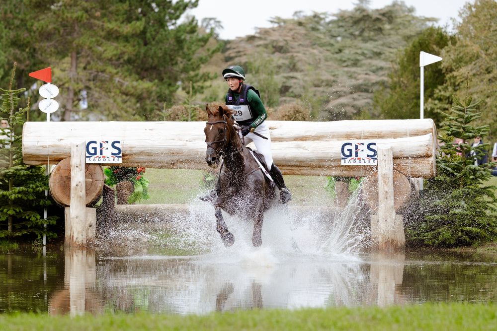 A professional photo of a horse competing in cross country