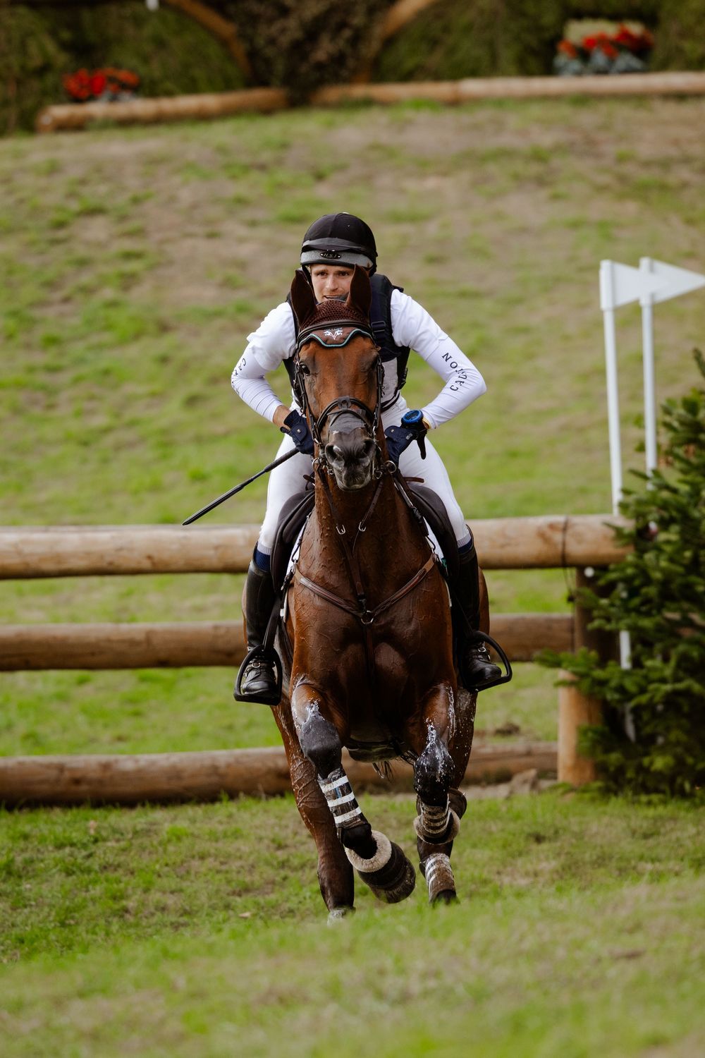 A professional photo of a horse competing in cross country