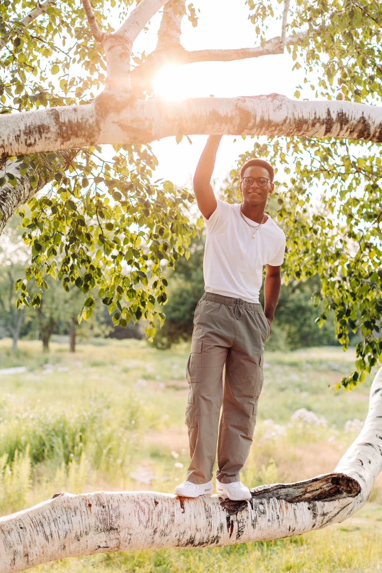 Person balanced on a birch tree branch in a sunny outdoor field wearing casual attire.
