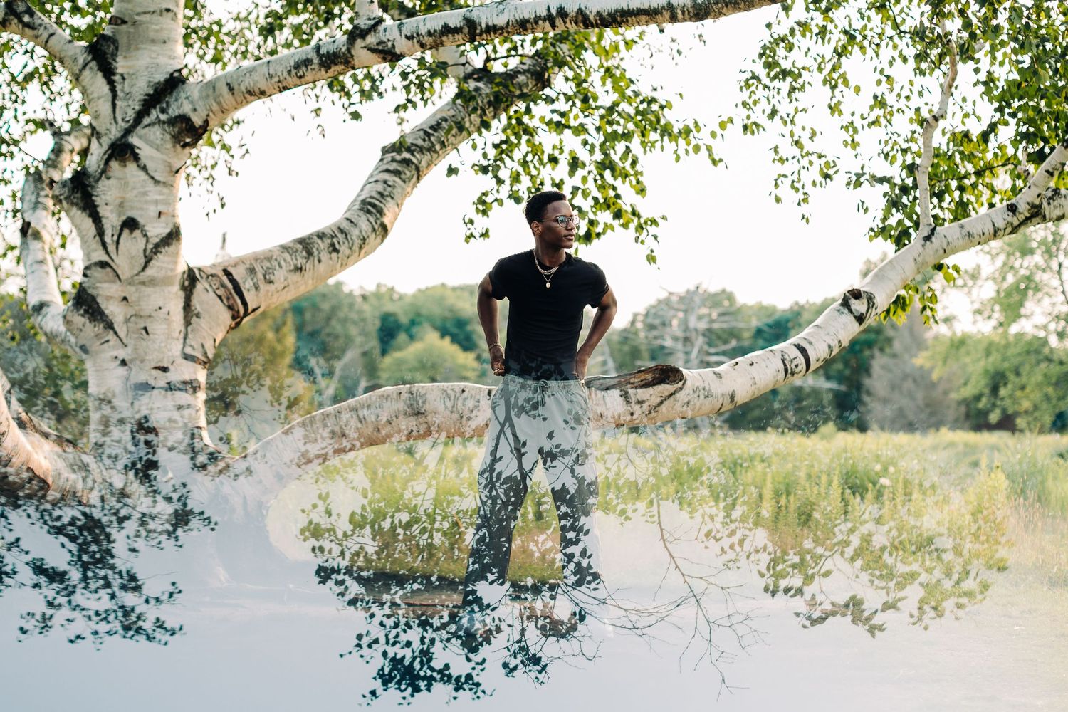 Artistic shot of someone standing on a birch tree branch in a natural setting.