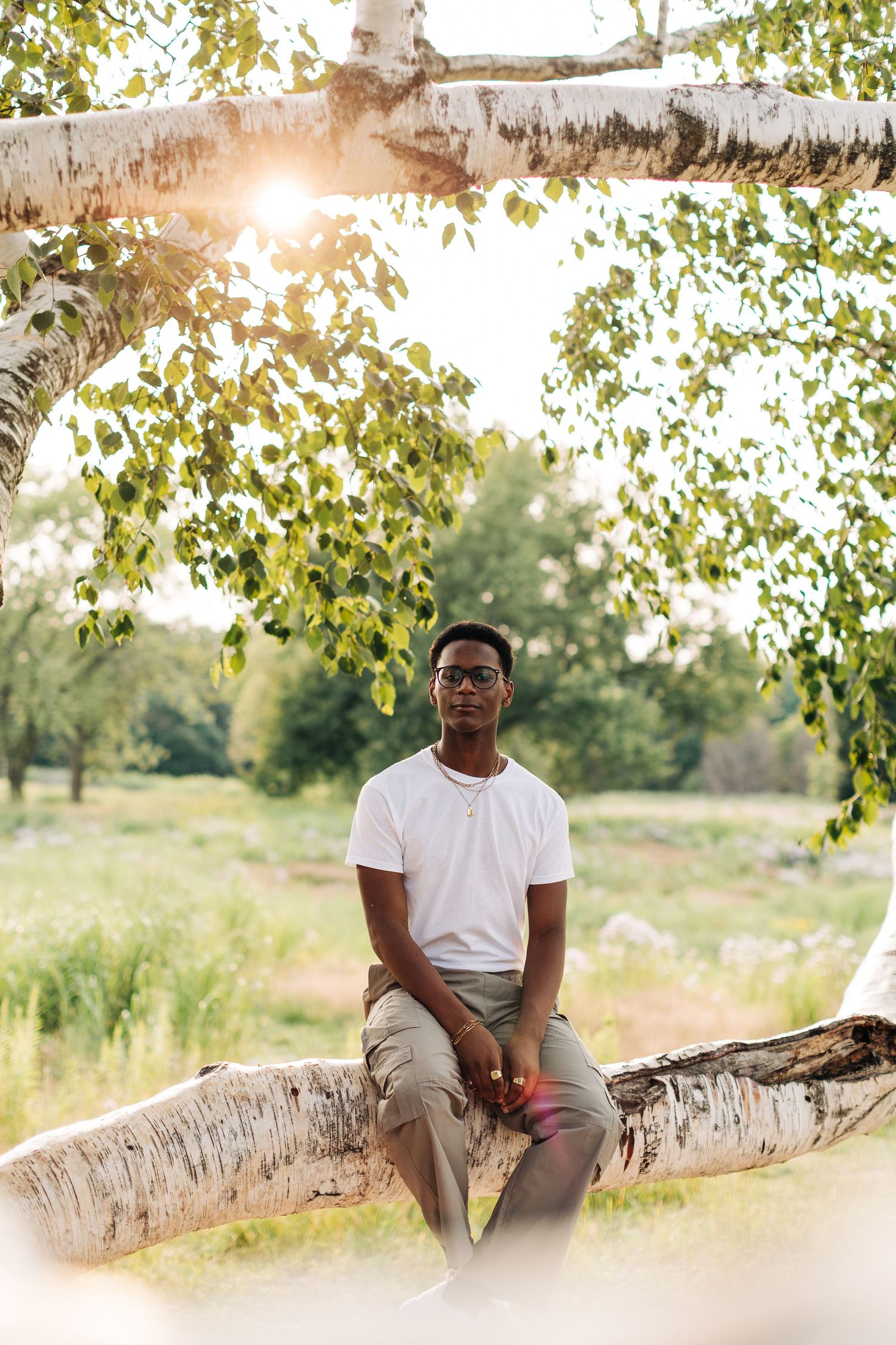 Person sitting on birch tree log during golden hour in nature setting.