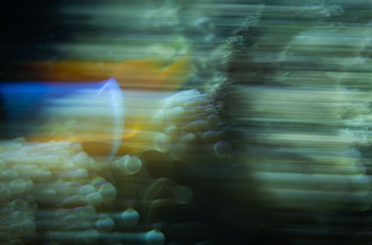 Abstract light trails and clouds create a colorful motion blur effect against a dark background.