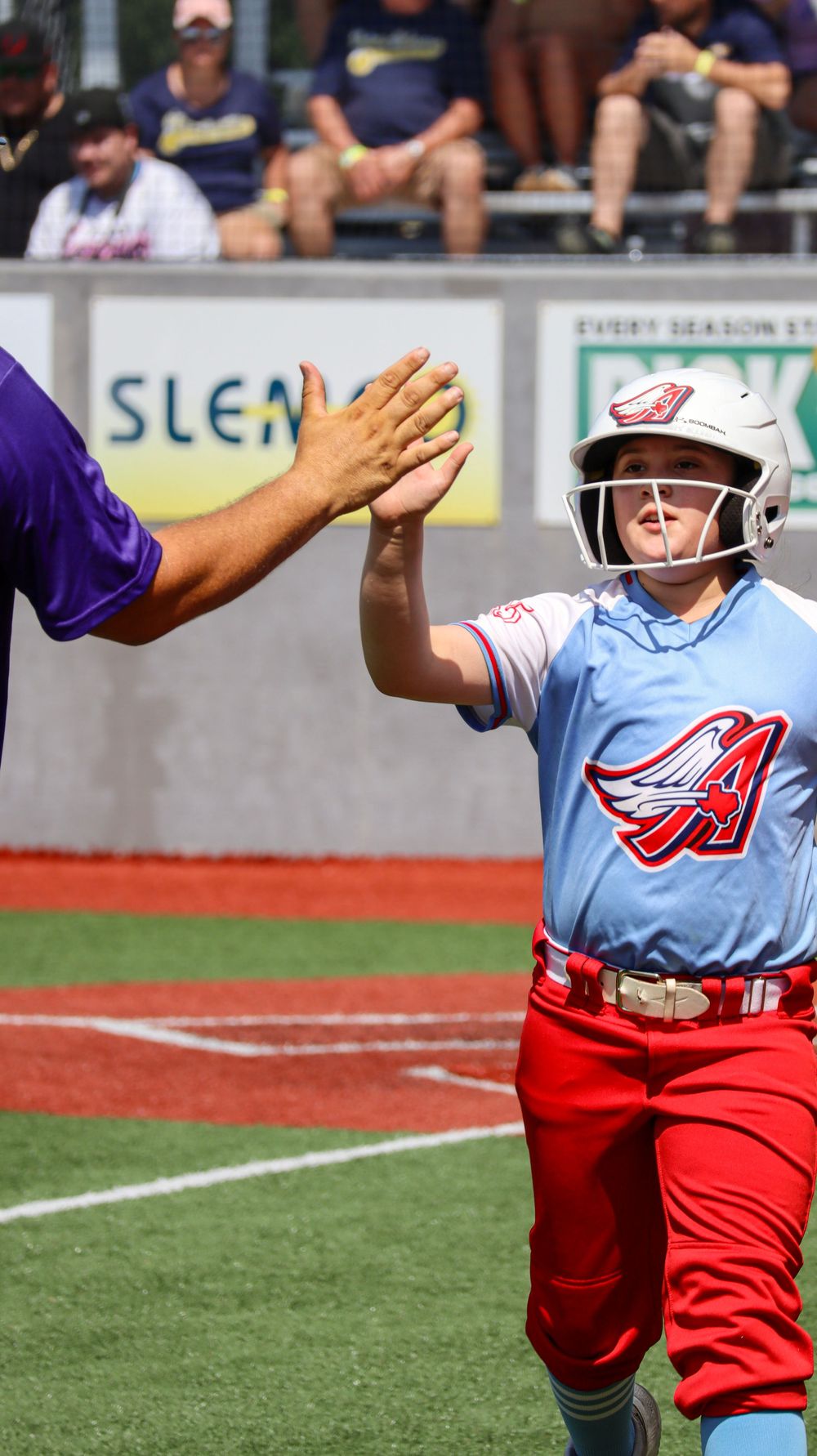 Softball player in red pants and blue jersey celebrates with high fives after successful play.
