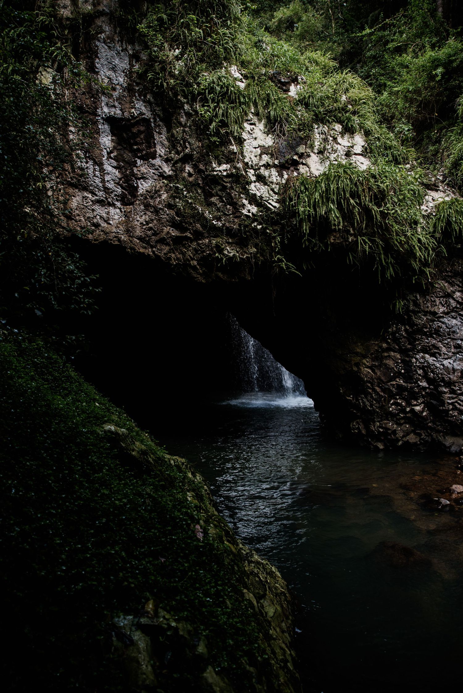 Secluded waterfall and swimming hole surrounded by lush vegetation in a natural cave setting.