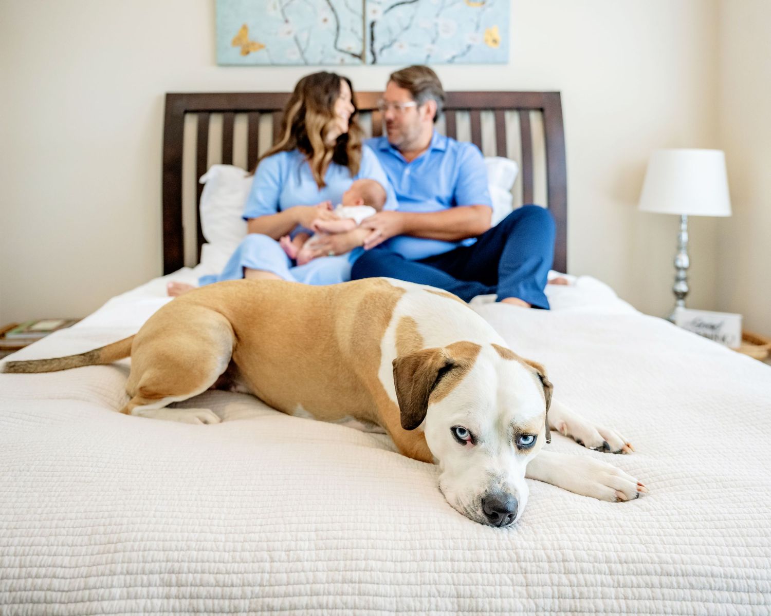 newborn lifestyle photos charlotte area newborn photographer