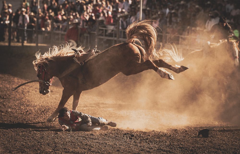 Dramatic rodeo scene of a bucking horse throwing its rider in a cloud of dust.