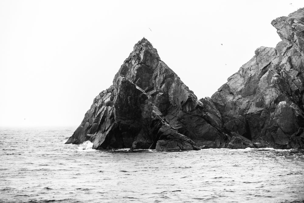 Dramatic black and white photograph of jagged coastal rock formations meeting the sea.