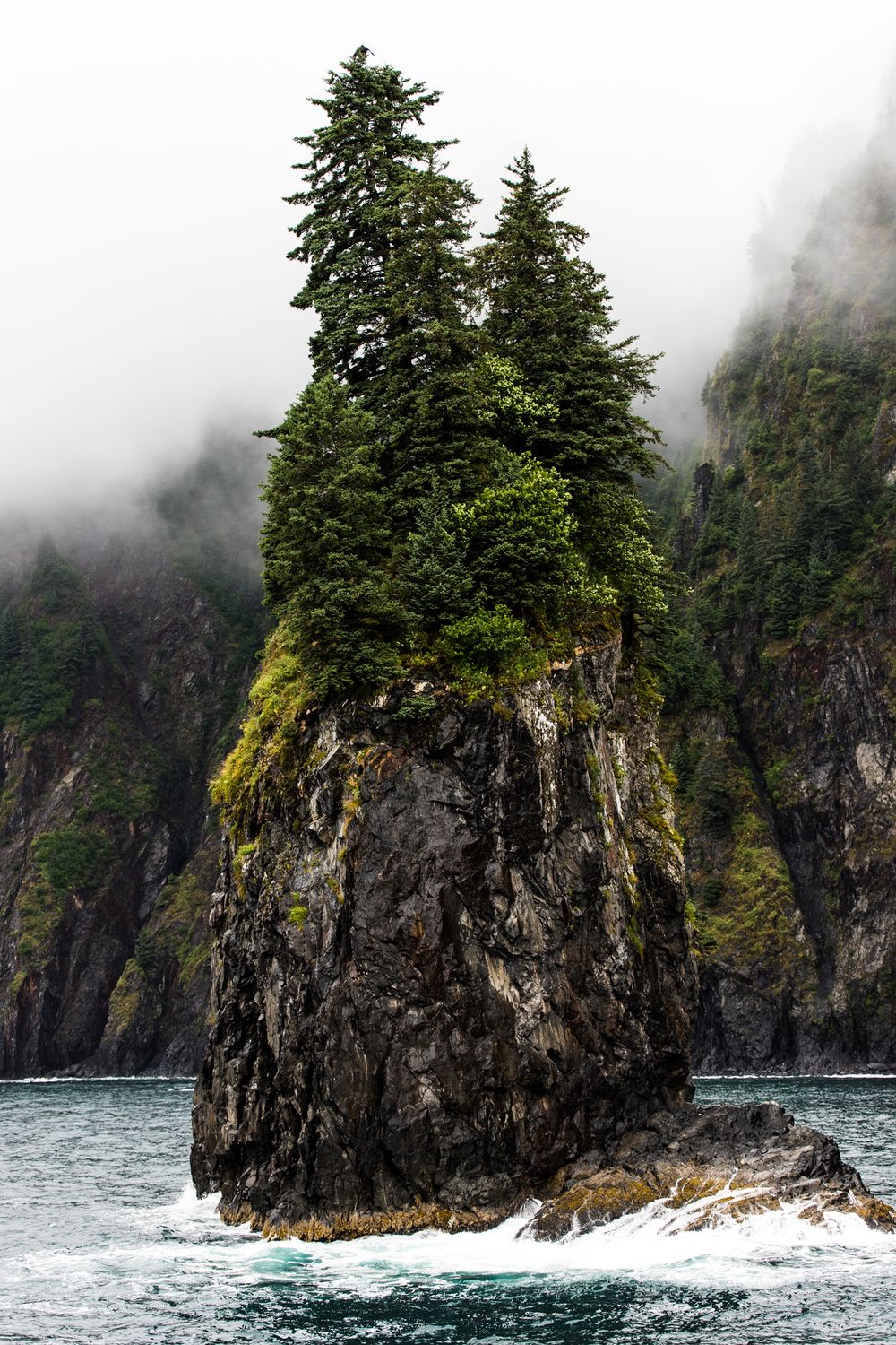 Tall evergreen trees grow atop a dramatic sea stack rising from the ocean.
