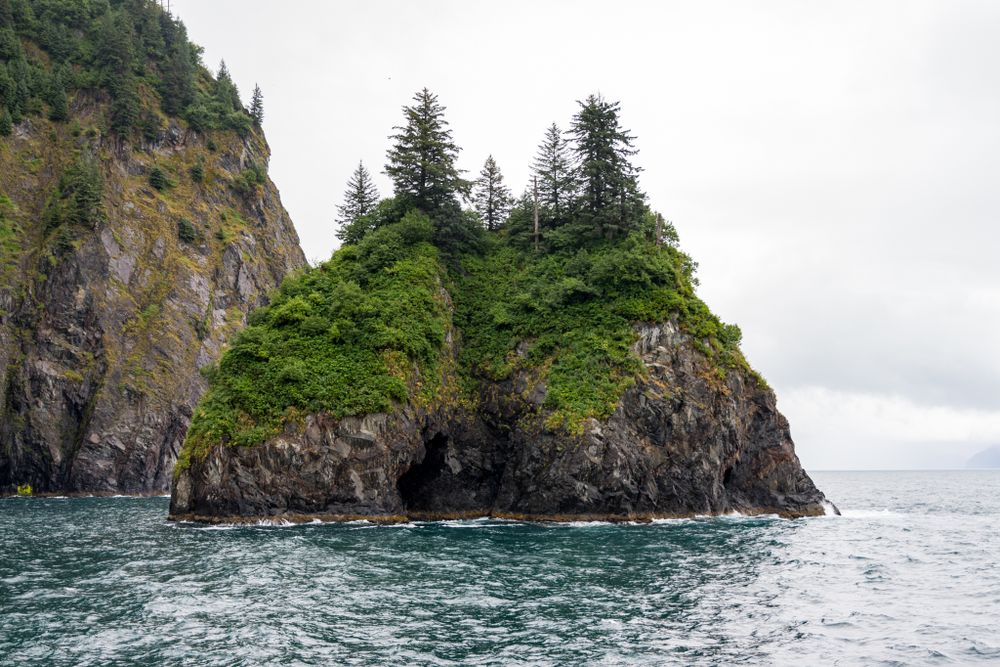 Rocky coastal formation with natural arch and dense vegetation overlooking the ocean.