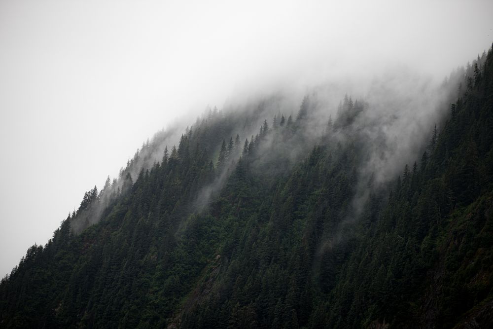 Fog rolling over a dark forested mountainside creates a moody atmosphere.