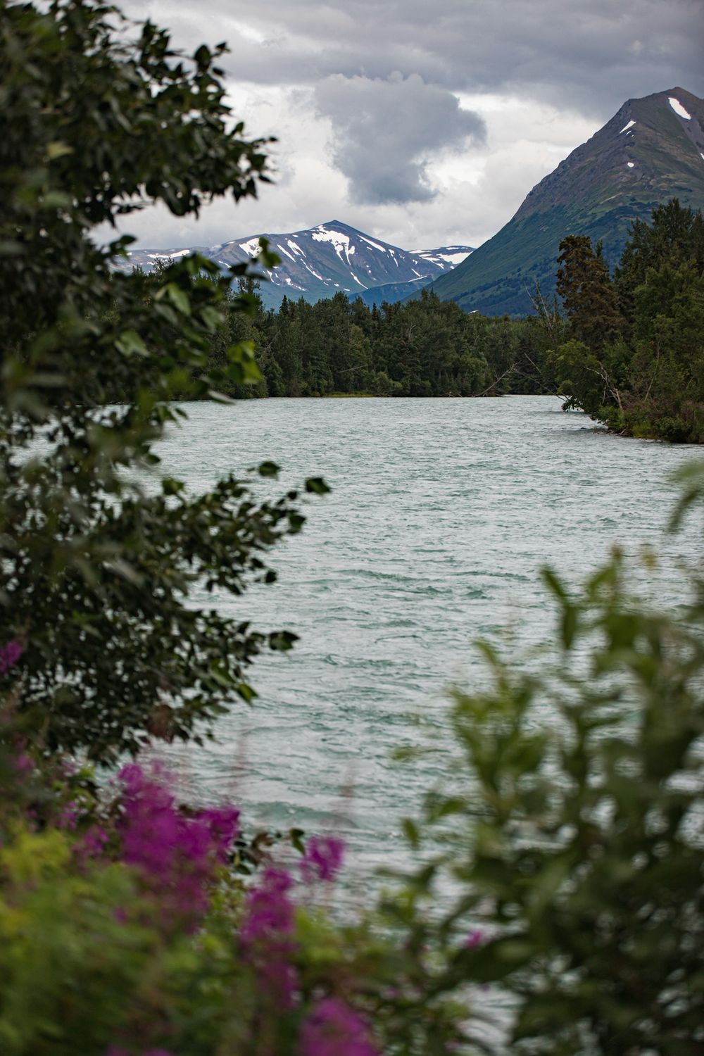 Mountain lake view framed by trees and purple wildflowers with snow-capped peaks in the distance.