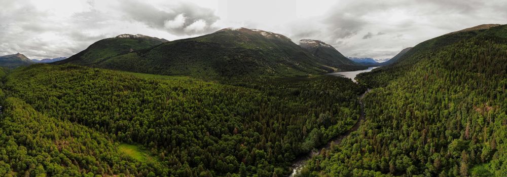 Panoramic view of a vast green valley covered in dense forest under cloudy skies.