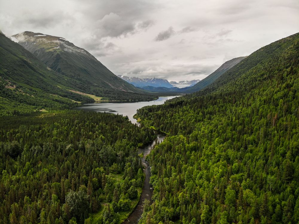 Aerial view of a winding road through a lush green valley with mountains and lake in the distance.