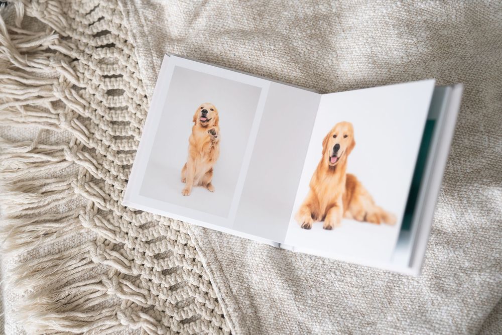 A modern photo album with dog pictures displayed on a white fluffy rug or carpet surface.
