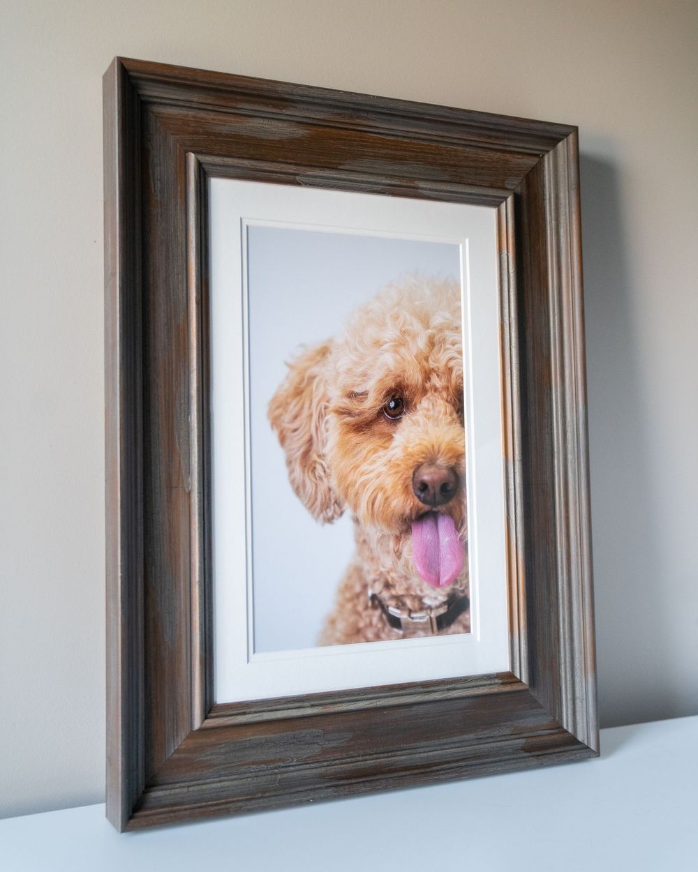 A framed portrait showing a fluffy goldendoodle dog with its tongue out mounted on a gray wall.