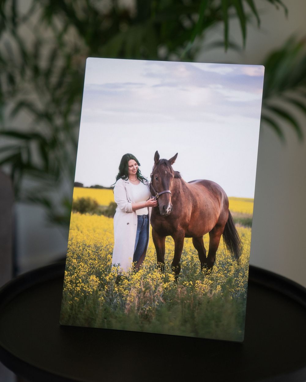 A photograph displayed on a table shows a horse and person standing together in a field of yellow wildflowers.
