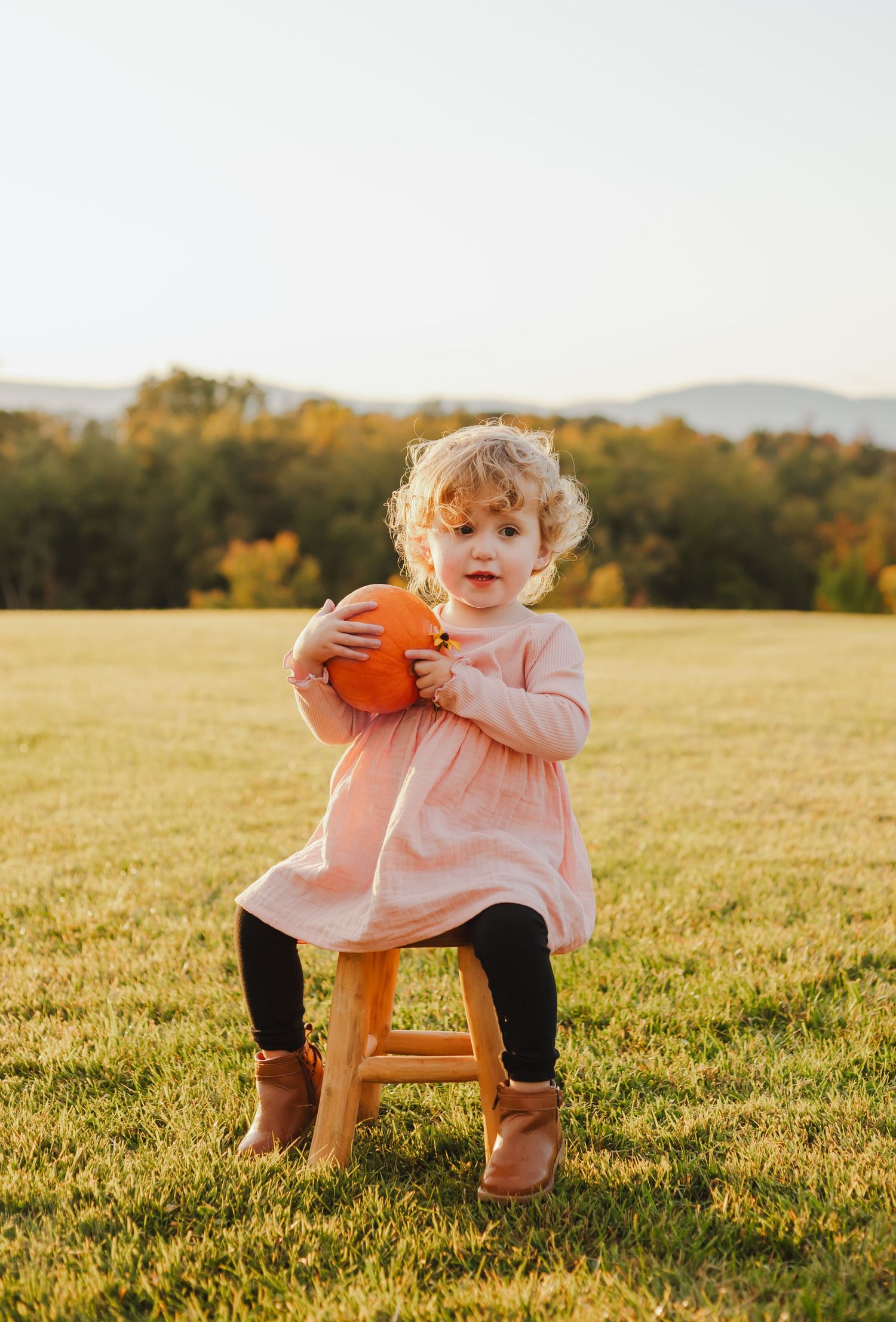 Charlottesville photographer, family, newborn, maternity baby, beautiful toddler girl with pumpkin on stool