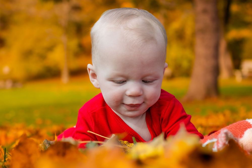A baby in red clothing plays among golden autumn leaves.