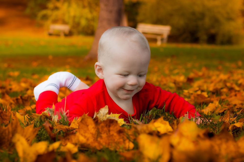 A small child in a red sweater lies among colorful autumn leaves on the ground during a fall day.