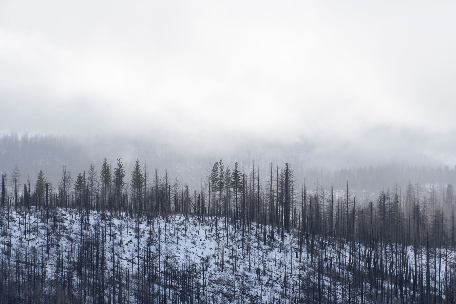 landscape snow mountains