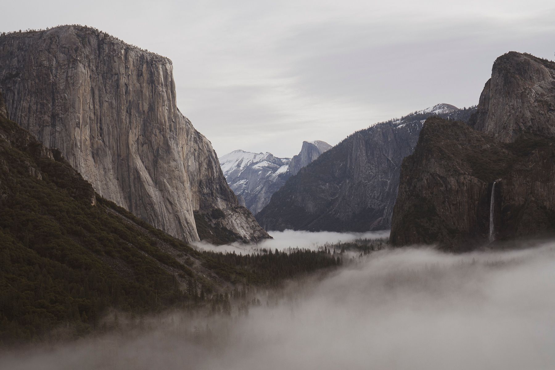 Yosemite, fog, landscape