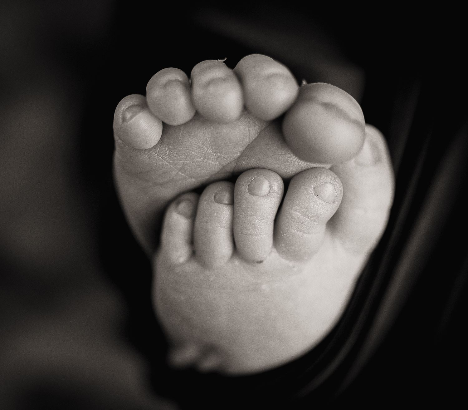 West Portsmouth Newborn Photography | West Portsmouth Ohio Newborn | Scioto County Photographer | Bailey's Photography