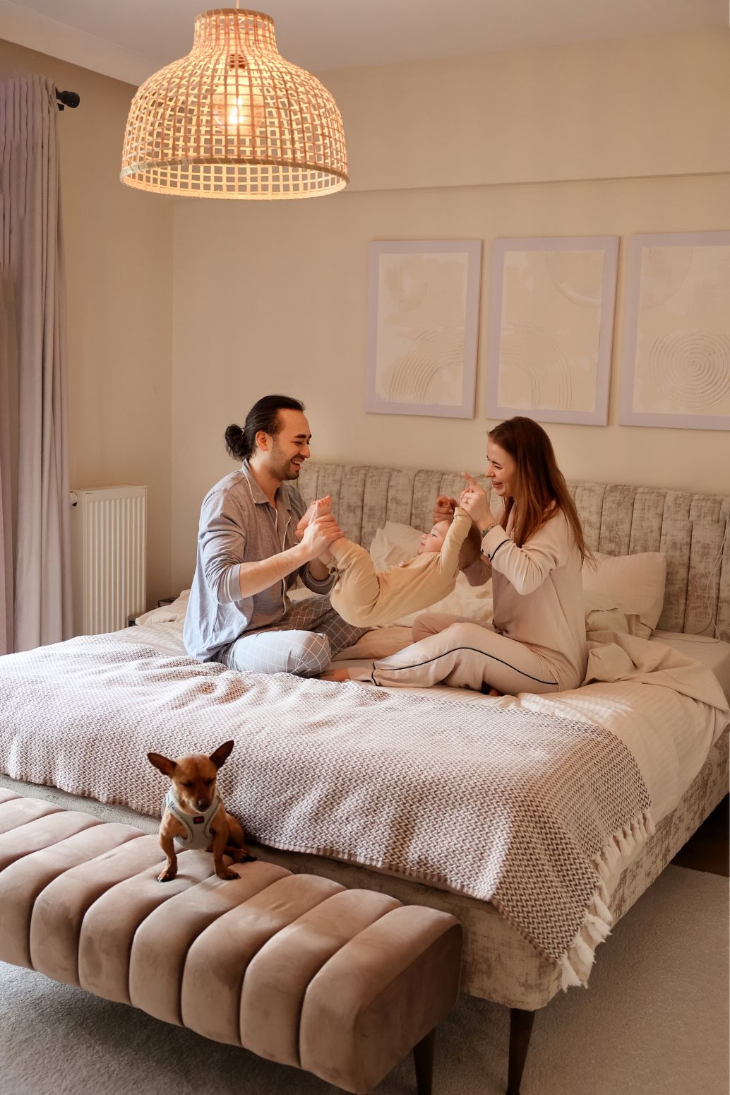 Cozy bedroom scene with woven pendant lamp and small dog relaxing on grey upholstered bed.