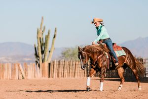 A camel and rider trek across a desert landscape with tall cactus plants and mountains in the background.
