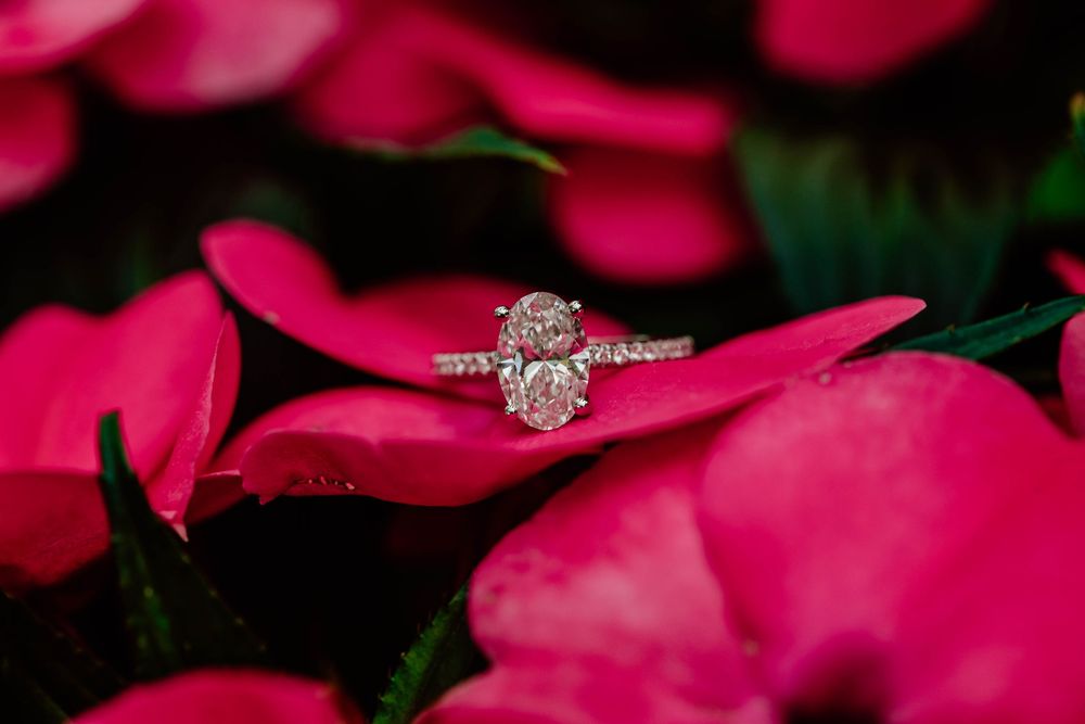 Biltmore Estate Engagement & Proposal Photography