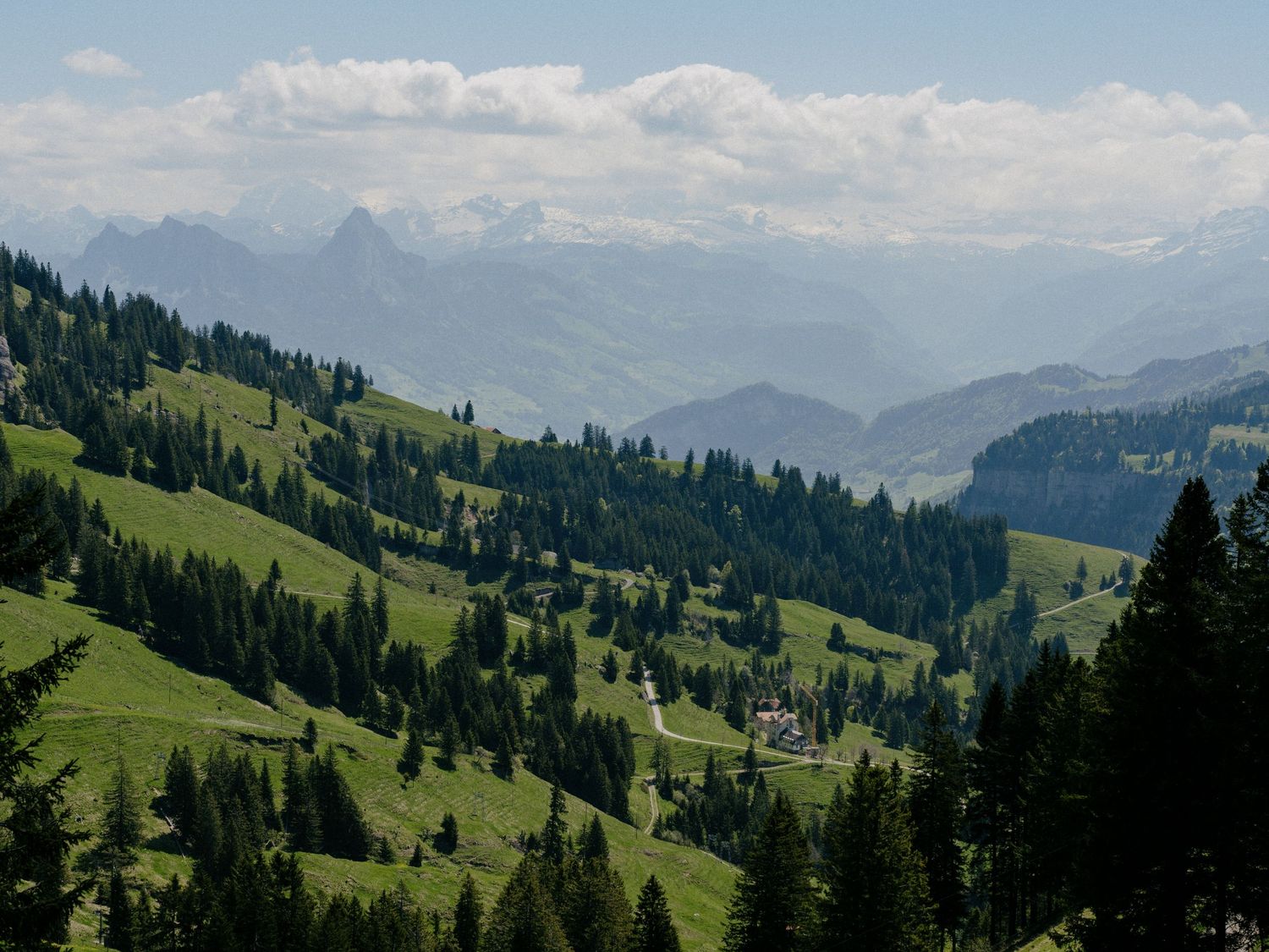 Rolling green alpine meadows and forested slopes cascade through mountain valleys under a bright summer sky.