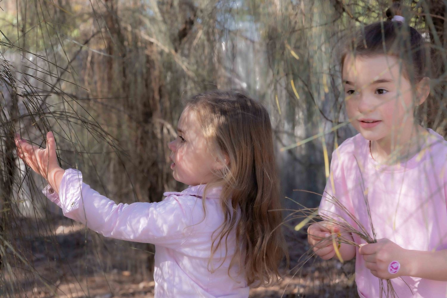 Young girls in the trees at Lifestyle Family session