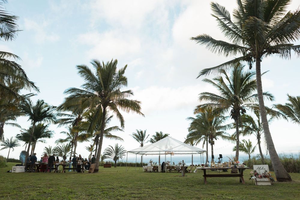 Palm trees sway over a grassy lawn where people gather near the ocean on a tropical beach.