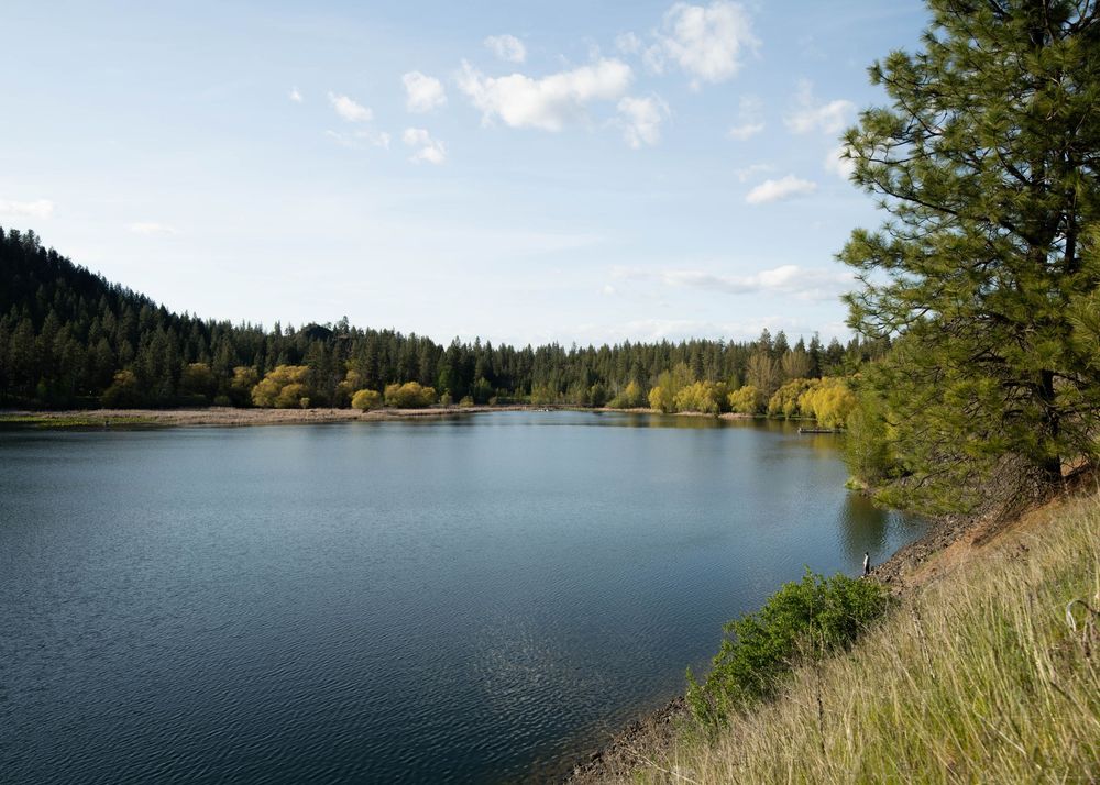 Serene lake reflecting blue sky surrounded by pine trees and colorful autumn foliage on a clear day.