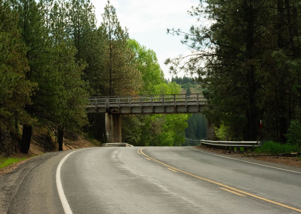 Winding two-lane road through tall pine trees with a wooden bridge overpass ahead.