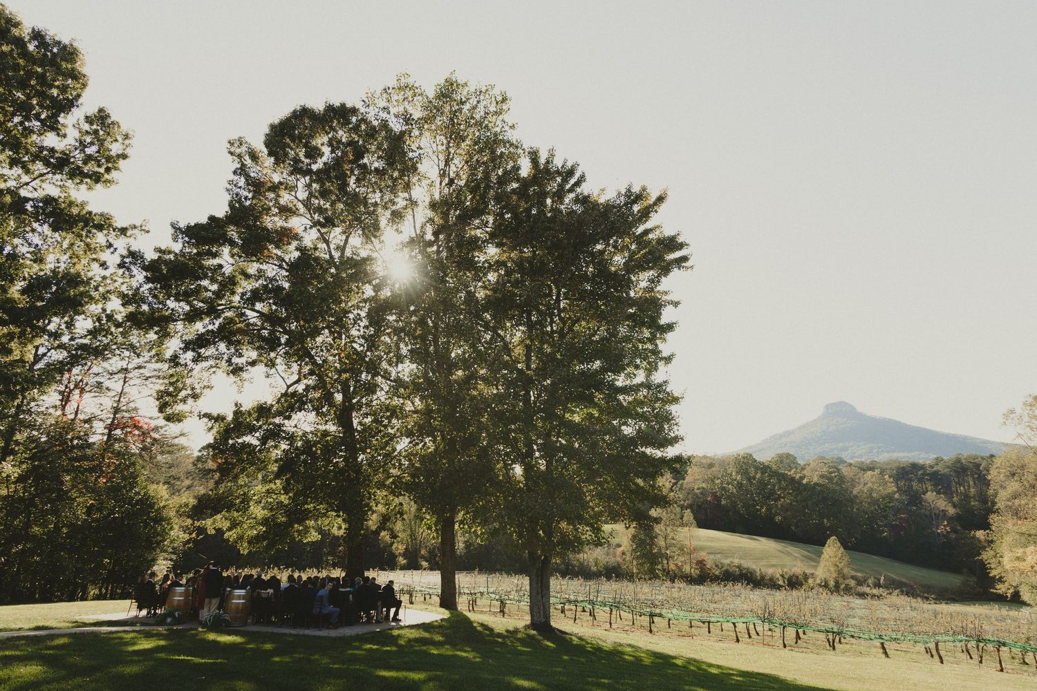 Sun shines through trees at outdoor mountain venue with rolling hills and mountain views in background.