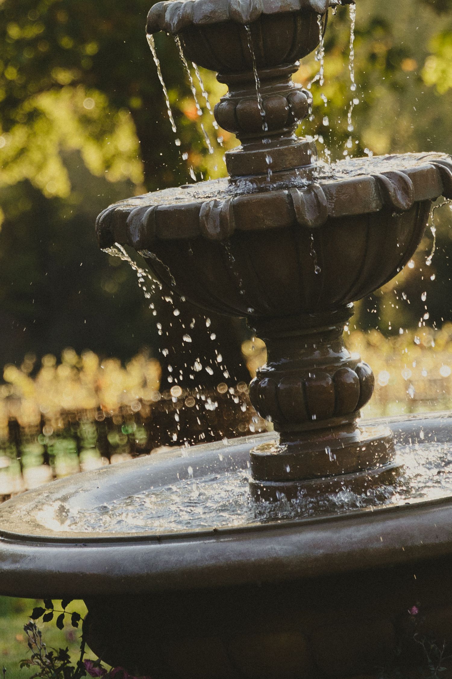 Water droplets splash and cascade from an ornate stone fountain in a sunlit garden setting.