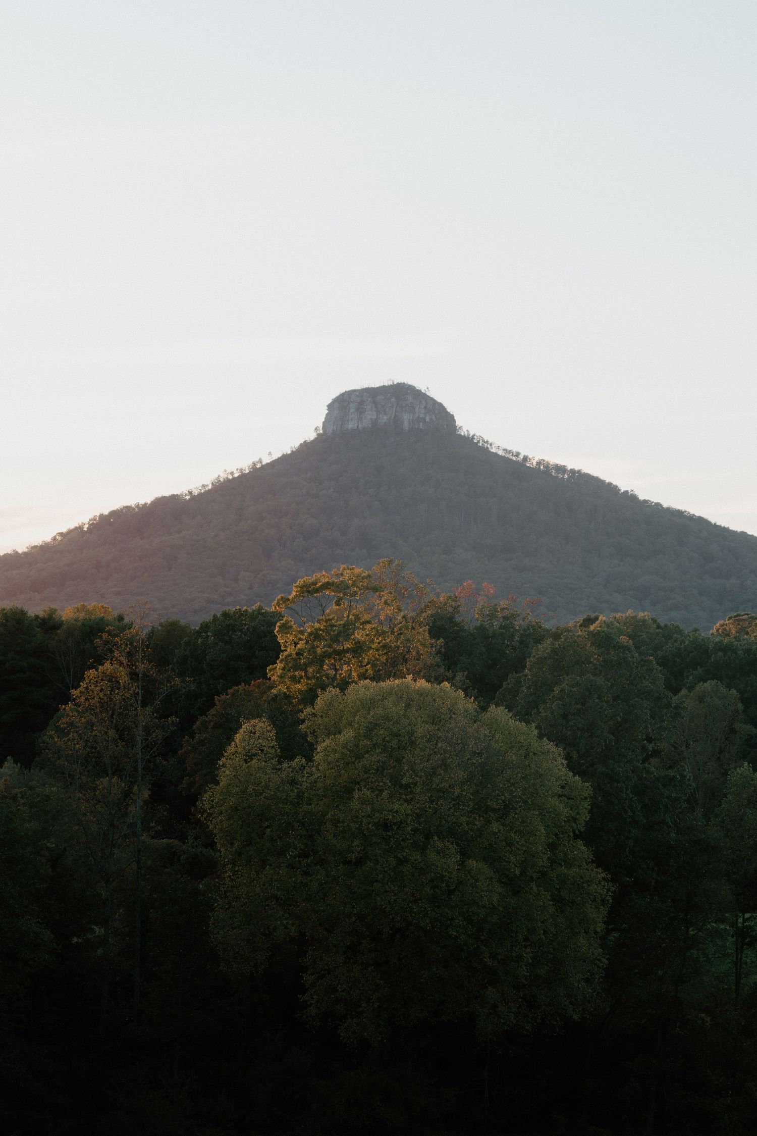 A rocky mountain peak rises above dense forest canopy during sunset, casting shadows across the landscape.