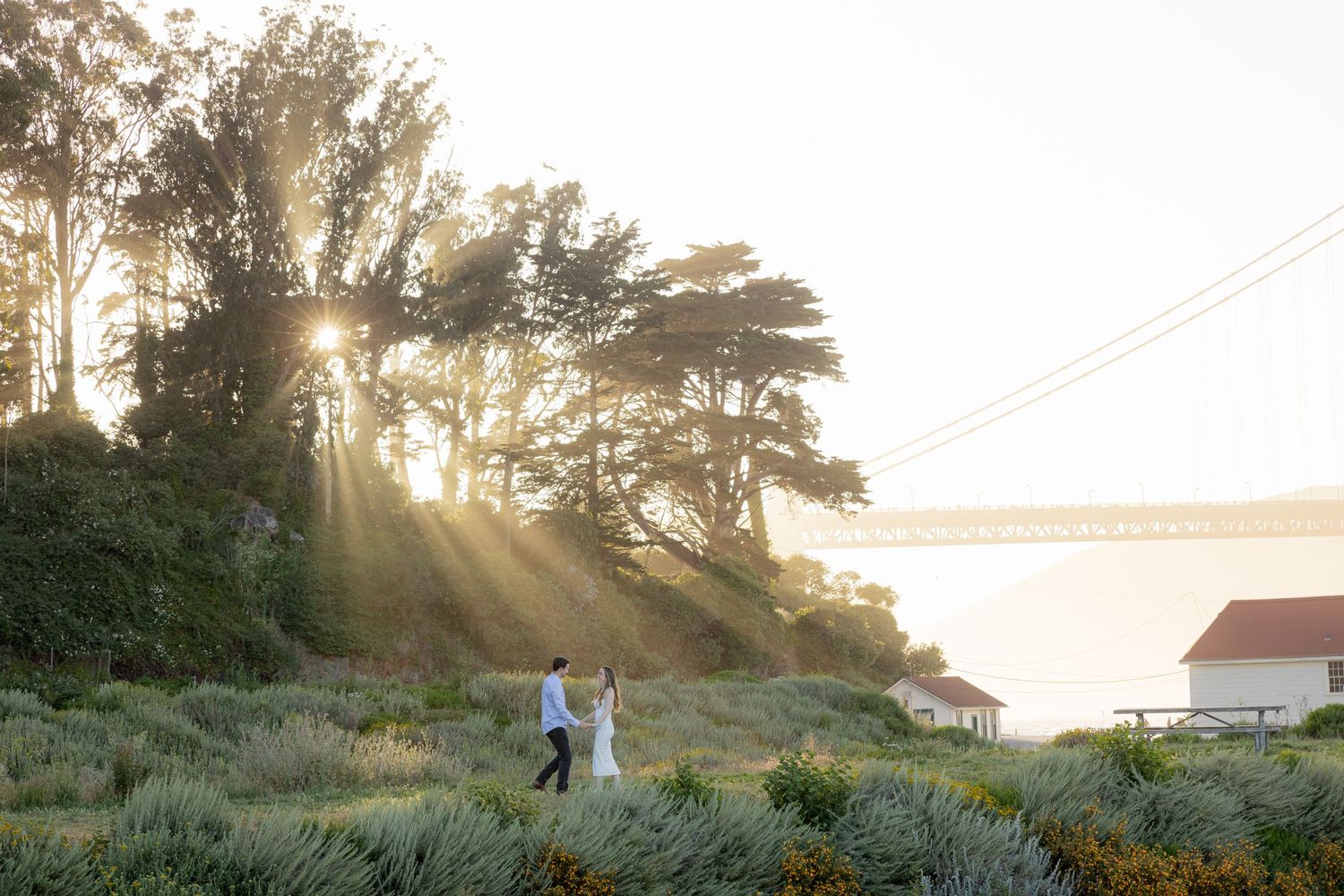 A dreamy golden sunburst shines through trees overlooking a grassy hillside with a figure in silhouette during sunset.