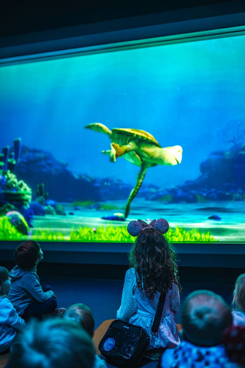 Silhouettes of visitors viewing large aquarium display tanks illuminated in blue and green lighting.